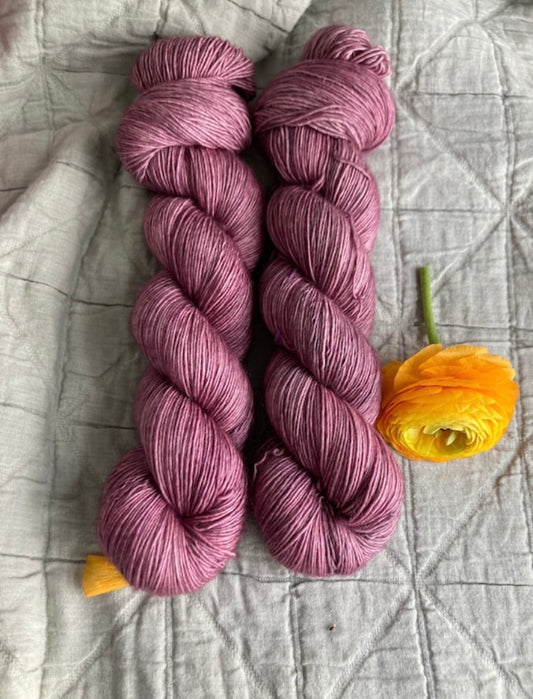 Kotti  / Merino Solist